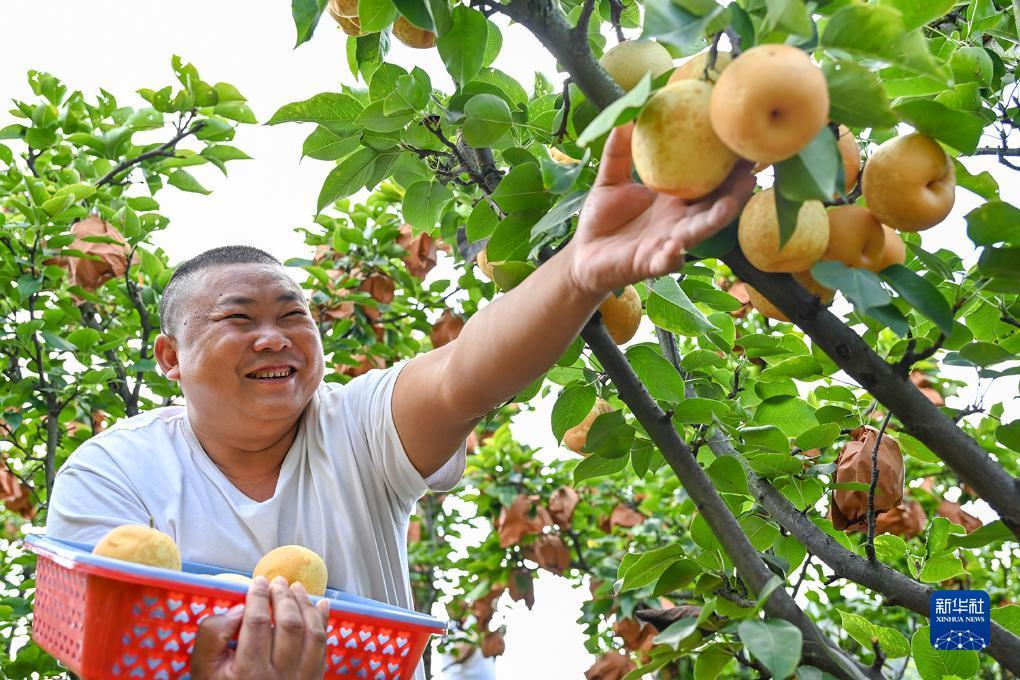 奥门误乐域